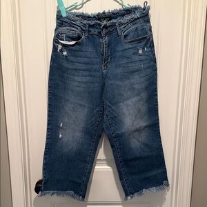 Judy Blue Distressed Ankle Jeans